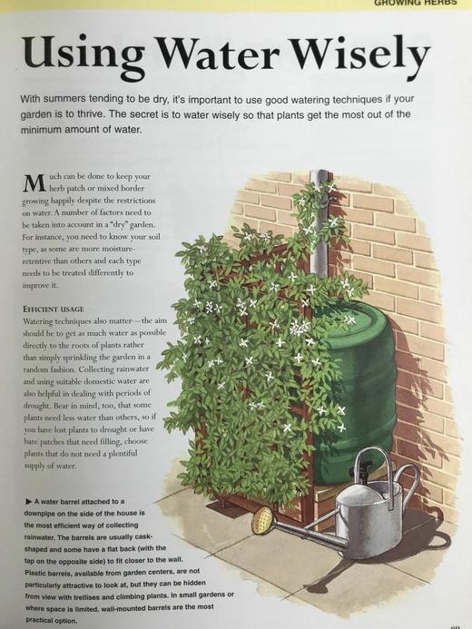 草药之书（辞典，种植，烹饪，功效） 数千幅彩色插图 精装16开 商品图13