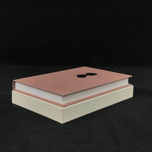 简·奥斯汀回忆录（1997） 19幅插图 精装32开带书匣 商品图1