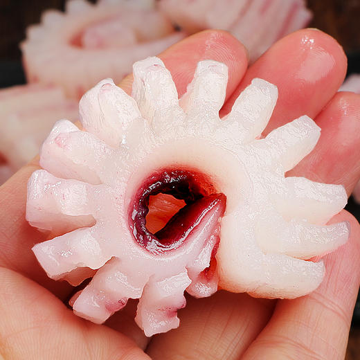 【北海湾】鱿鱼花风火轮 250g*6袋 海鲜水产新鲜速冻辣炒火锅食材 商品图3