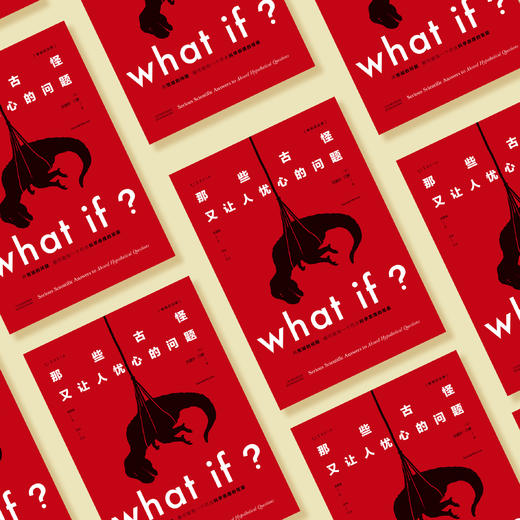 《What if？那些古怪又让人忧心的问题》 商品图3