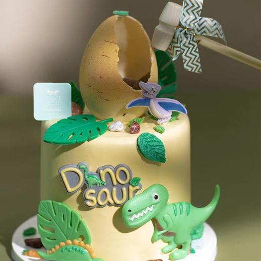 恐龙之岛 | 小盒子 商品图1