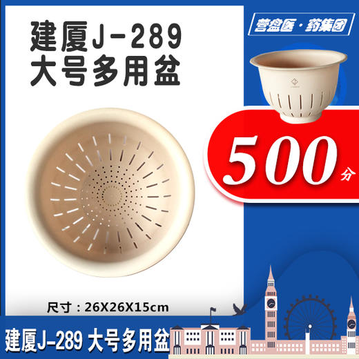 225608 建厦J-289 大号多用盆 商品图2