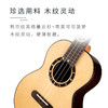 瑞声时轮TR781英格曼熊爪纹云杉全单尤克里里进阶专业演奏ukulele 商品缩略图1