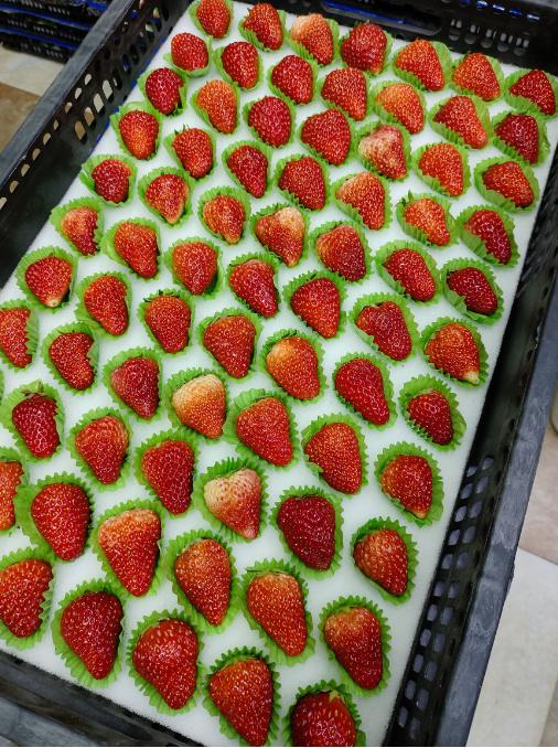 黑框草莓一箱（拼团） 商品图3