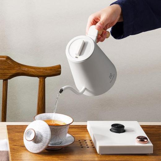 【团购展示】伊莱克斯EGEK6110 手冲壶 商品图0