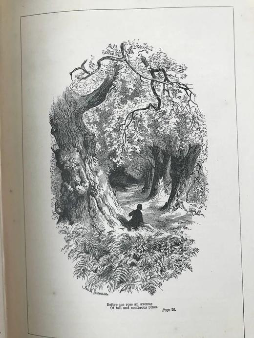 1897年 朗费罗诗歌与散文集 配精美版画插图 漆布精装18开 商品图14