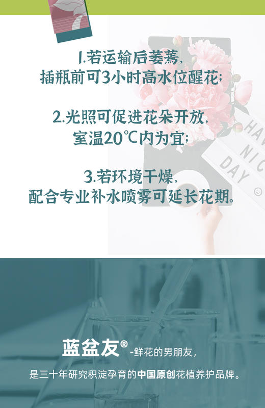 蓝盆友芍药专用营养液5ml【包邮到家】 商品图11