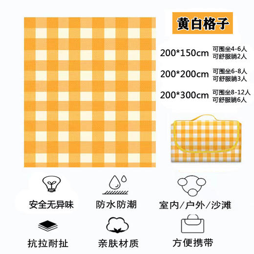 国庆出游户外野餐垫春游防潮垫加厚防水野餐垫户外风ins 商品图1