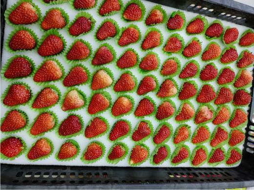 黑框草莓一箱（拼团） 商品图2