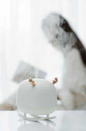 【团购展示】向物氛围加湿器-雪橇鹿DSHJ-H-009