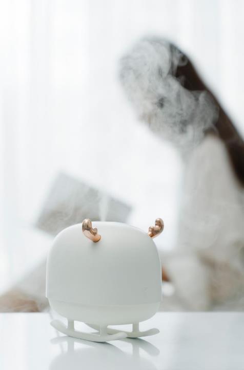 【团购展示】向物氛围加湿器-雪橇鹿DSHJ-H-009 商品图0