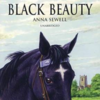 Little Fox系列L6-Black Beauty(35篇） 商品缩略图0