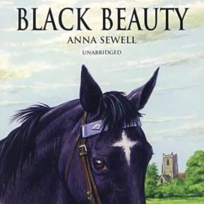 Little Fox系列L6-Black Beauty(35篇） 商品图0