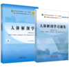 【全2册】人体解剖学+人体解剖学习题集 邵水金 主编 全国中医药行业高等教育十四五第十一版规划教材配套用书  中国中医药出版社 商品缩略图1