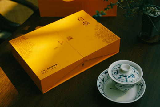 木竟 | 自在系列 天驿古茗 悟源涧肉桂（黄色） 50g 商品图0