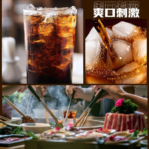 九日冰祖无糖咖啡味碳酸饮料400ml 商品图3