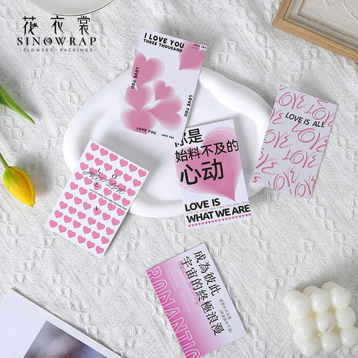 520 新款大卡.吊牌 商品图5