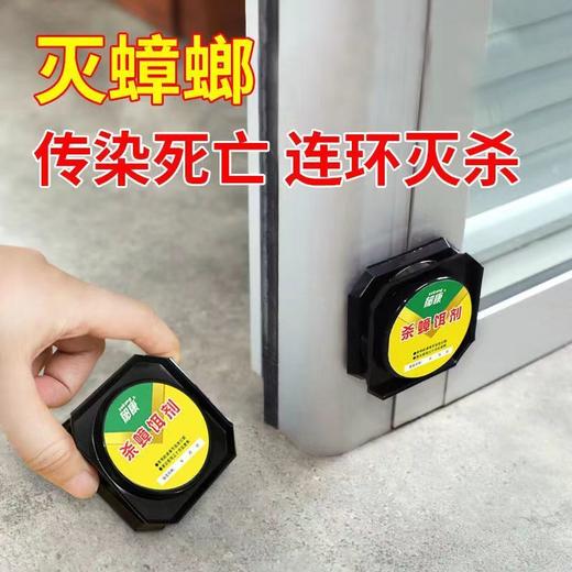 DD-郁康蟑螂药家用杀蟑螂一窝端除蟑螂厨房去蟑螂克星两包装 商品图8