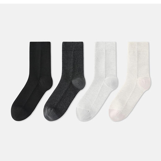 DNCA2591AN短袜 商品图4