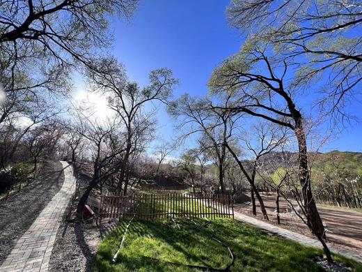 【露营】B区-阶梯固定营位单人票 商品图2