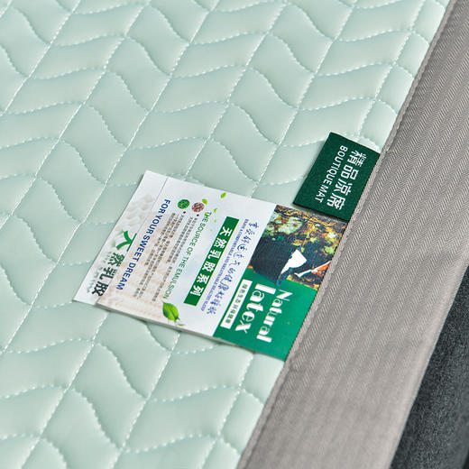 JX-369-3夏季泰国加厚乳胶凉席可水洗小清新冰丝空调软席子 商品图1