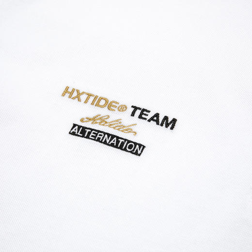 HX 夏季翻领短袖T恤Y102320131101/02POLO杉 商品图9