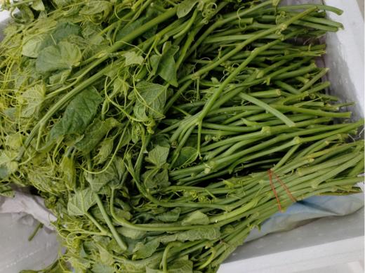 丝瓜尖一斤（拼团） 商品图1