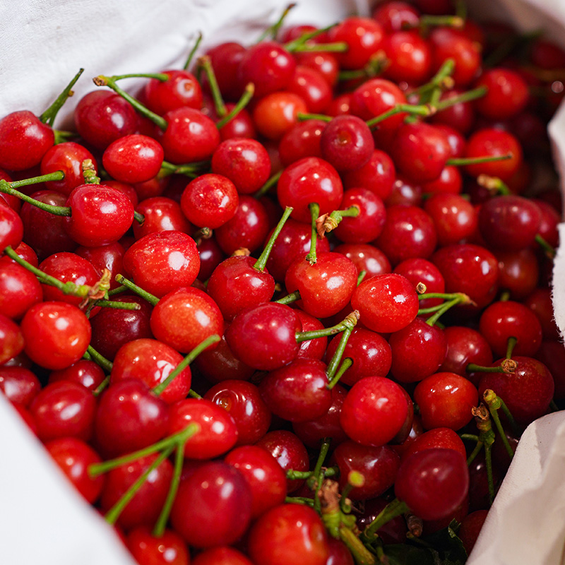 【斌哥优选】正宗米易·玛瑙红·小樱桃。春天就是要吃恩特er，带着阳光的甜蜜。目前9甜1酸，果味非常浓郁。（各位老板，注意看售后规则）