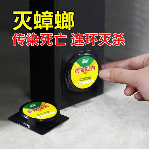 DD-郁康蟑螂药家用杀蟑螂一窝端除蟑螂厨房去蟑螂克星两包装 商品图7
