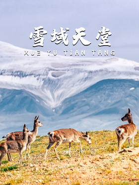 8天7晚丨一措再措的雪域天堂本色为你呈现