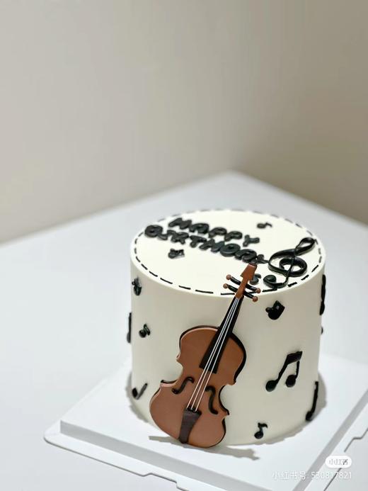 小提琴 商品图0