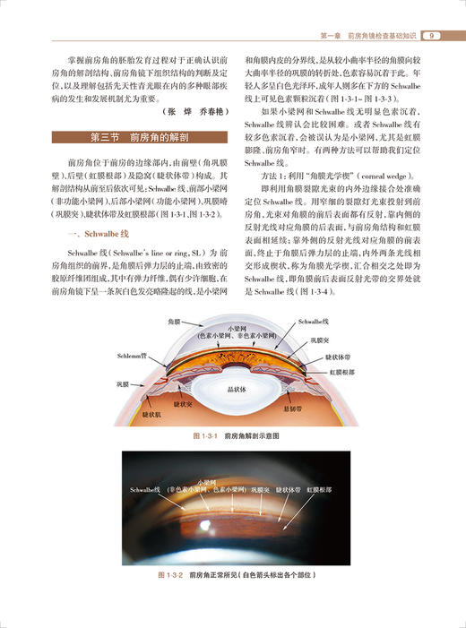 前房角镜检查图谱 乔春艳 眼科基本检查 疾病特征 青光眼激光手术治疗应用 眼科医生必备参考工具书 人民卫生出版社9787117346542 商品图4