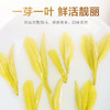 2026新茶 高山黄金芽125g 商品缩略图6