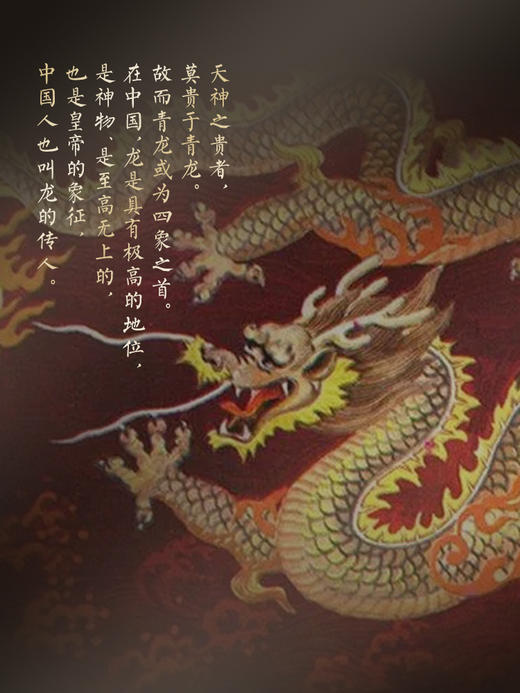 【仅供展示】【神兽—青龙】超越纯料老班章的存在，神兽事业部独立出品高奢品牌 商品图7