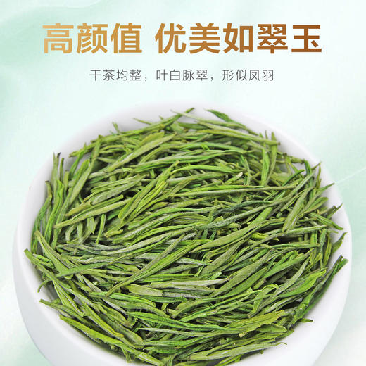 2026新茶 高山安吉白茶125g 商品图1
