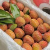 海南桂花香荔枝 商品缩略图4