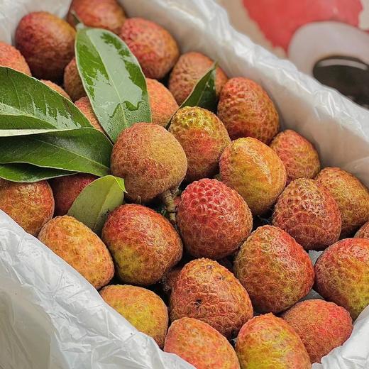 海南桂花香荔枝 商品图4