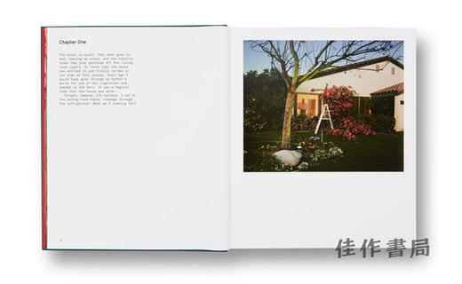 Larry Sultan: Pictures From Home / 拉里·苏丹：家里的照片 商品图1