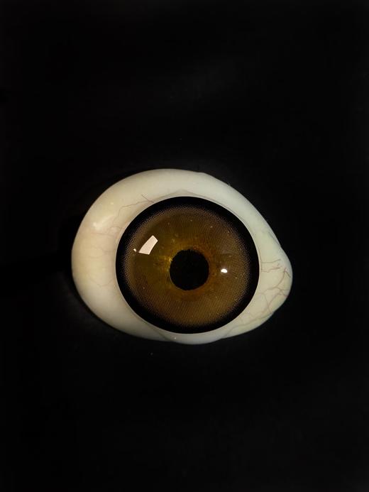 LoveiiKira国产半年抛--女团棕 商品图5