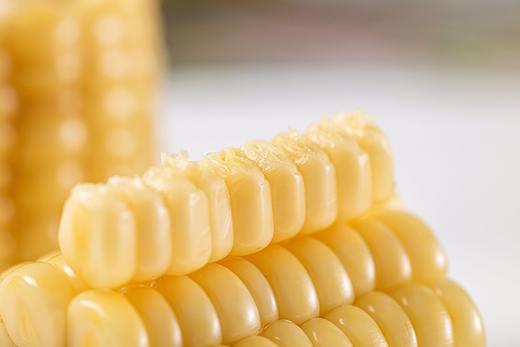 黑龙江有机糯玉米 商品图1