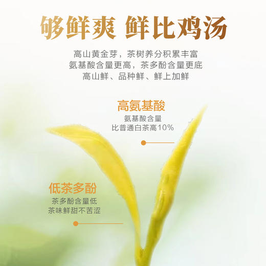 2026新茶 高山黄金芽125g 商品图2