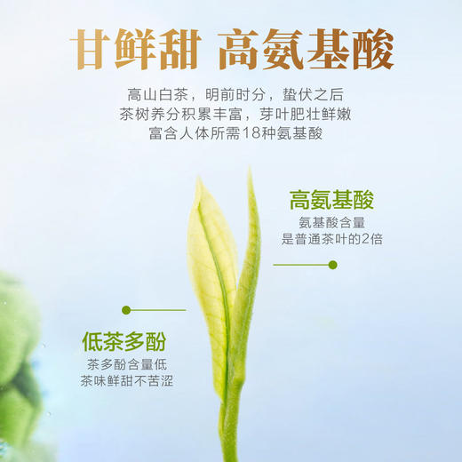 2026新茶 高山安吉白茶125g 商品图4
