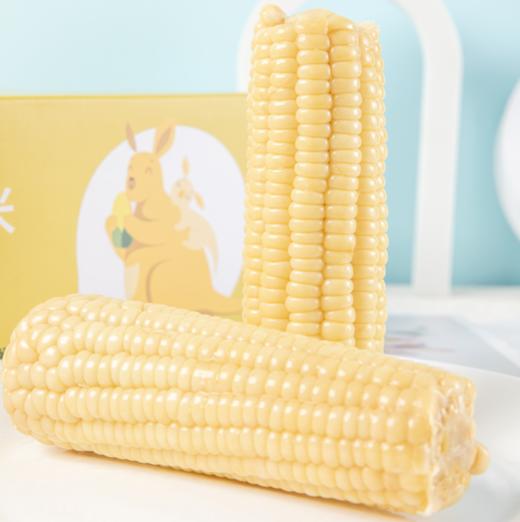 黑龙江有机糯玉米 商品图0