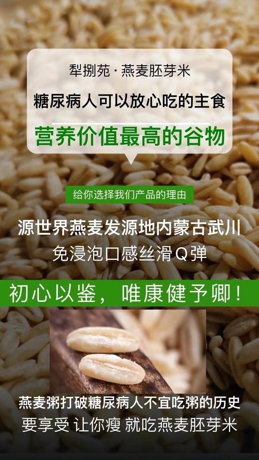 内蒙古武川 燕麦胚芽米 保留全胚芽谷物 商品图4