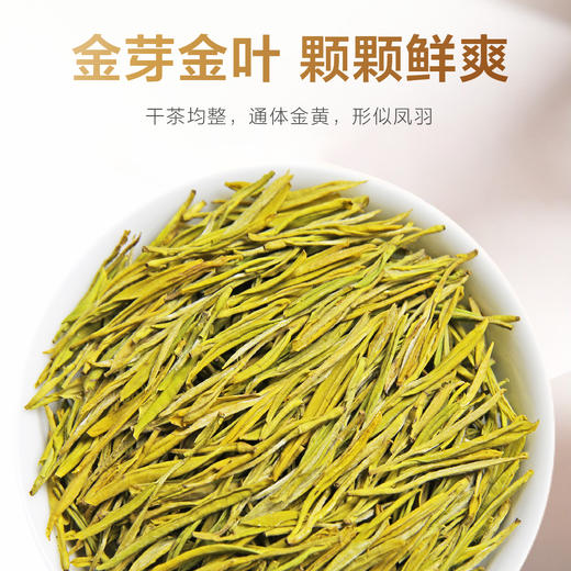 2026新茶 高山黄金芽125g 商品图3