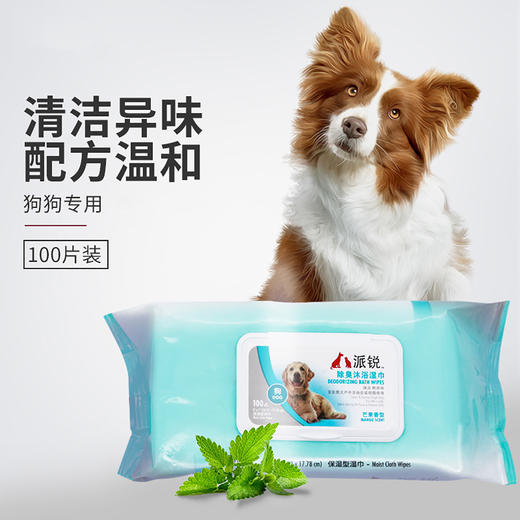 派锐芒果味狗狗除臭湿巾幼犬去异味护理100片 商品图0