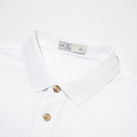 HX 夏季翻领短袖T恤Y102320131101/02POLO杉 商品图7