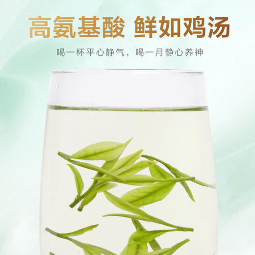 2026新茶 高山安吉白茶125g 商品图2
