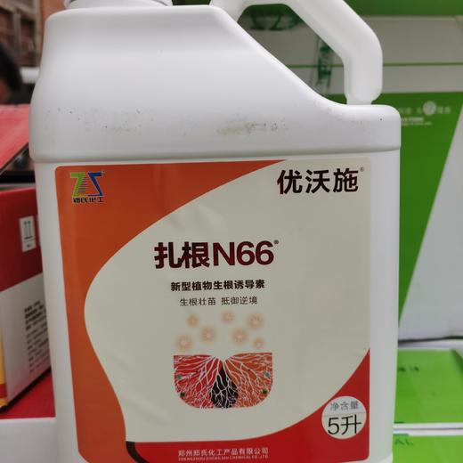 扎根N66营养激素双重生根 商品图0