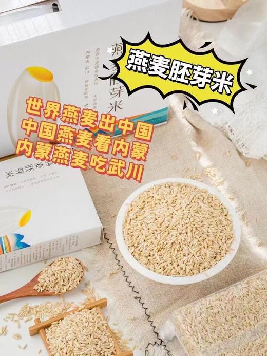 内蒙古武川 燕麦胚芽米 保留全胚芽谷物 商品图6